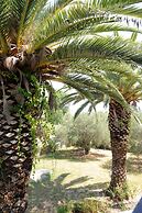 Captain's Studios & Apartments