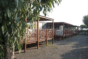 New Camping Le Tamerici