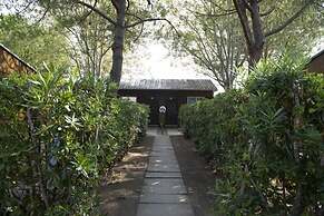 New Camping Le Tamerici