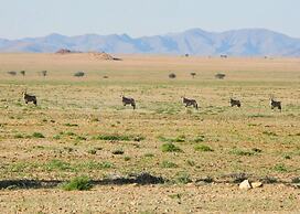 Solitaire Desert Farm