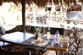 Solitaire Desert Farm