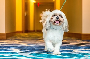 Grand Hyatt Baha Mar