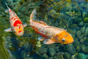 Grand Hyatt Baha Mar