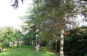 Park Hotel
