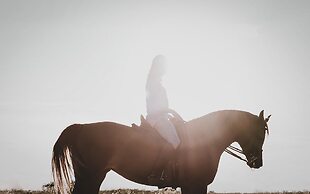 Numo Ierapetra Beach Resort Crete, Curio Collection Hilton