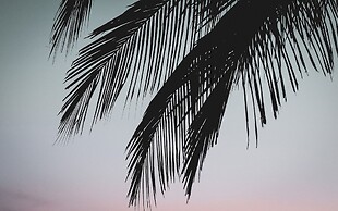 Numo Ierapetra Beach Resort Crete, Curio Collection Hilton