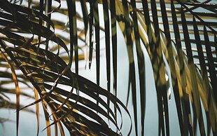 Numo Ierapetra Beach Resort Crete, Curio Collection Hilton