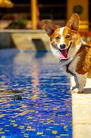 Surya-Pan Hotel Refúgio