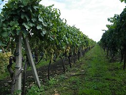 Etna Wine Agriturismo