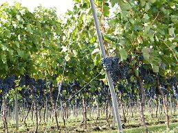 Etna Wine Agriturismo