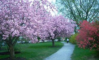 The Morgan State House
