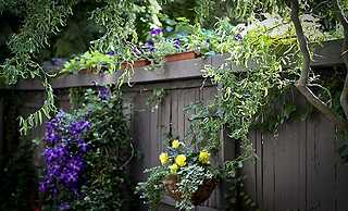 The Morgan State House