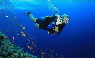 Monkey Flower Villas