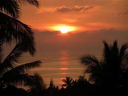 Monkey Flower Villas