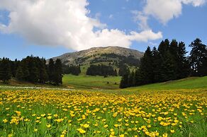 Alexakis Hotel & Spa