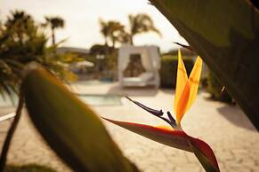 Borgo Mulino a Vento - Resort