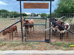 Malana Hotels & Suites