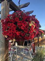 The Piccadilly Motel