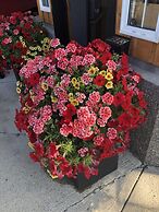 The Piccadilly Motel