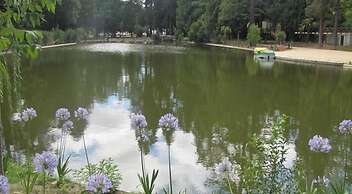 Pedras Salgadas Spa & Nature Park