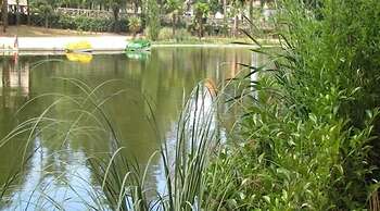 Pedras Salgadas Spa & Nature Park