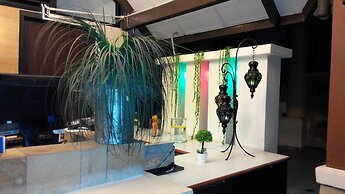 D'Feringghi Haus Hotel & Restaurant