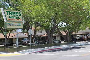 Trees Motel