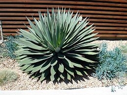 Agave Inn
