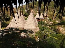 Moondance Magic View Bungalow