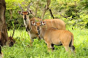 Fathala Wildlife Reserve