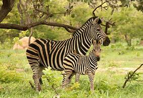 Fathala Wildlife Reserve