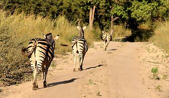 Fathala Wildlife Reserve