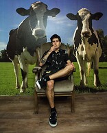 The Flying Pig Downtown Youth Hostel