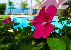 Quo Vadis Dive Resort Moalboal