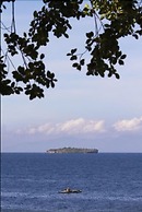 Quo Vadis Dive Resort Moalboal