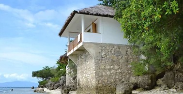 Quo Vadis Dive Resort Moalboal