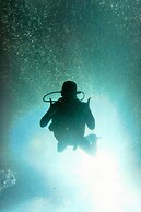 Quo Vadis Dive Resort Moalboal