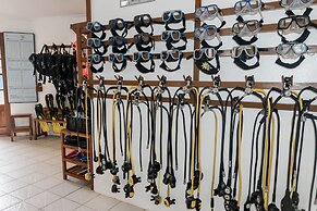 Quo Vadis Dive Resort Moalboal