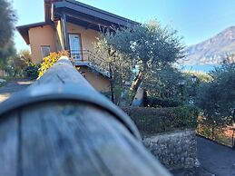 Villa Olivo