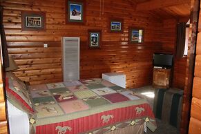 Virginia Creek Settlement