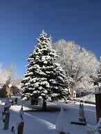 Virginia Creek Settlement