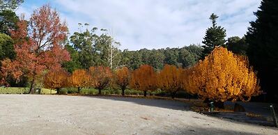 Panorama Retreat & Resort