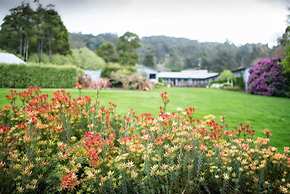 Panorama Retreat & Resort