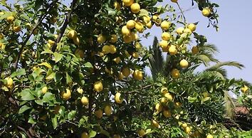 Residence Il Borgo degli Ulivi Resort