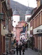 Neu Heidelberg - Guesthouse & Apartments