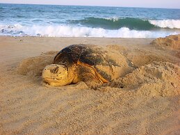Pousada Praia das Ondas - Pe  na areia
