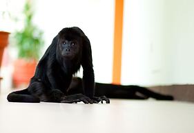 Hotel Plaza Palenque