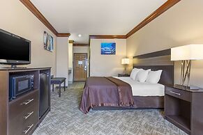 Best Western Fort Worth Inn & Suites