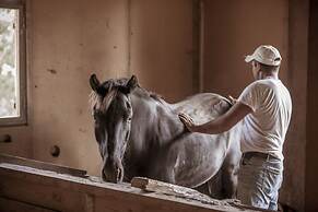 Grand Forest Metsovo