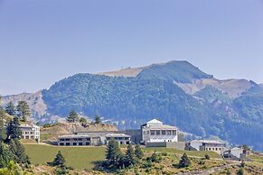 Grand Forest Metsovo